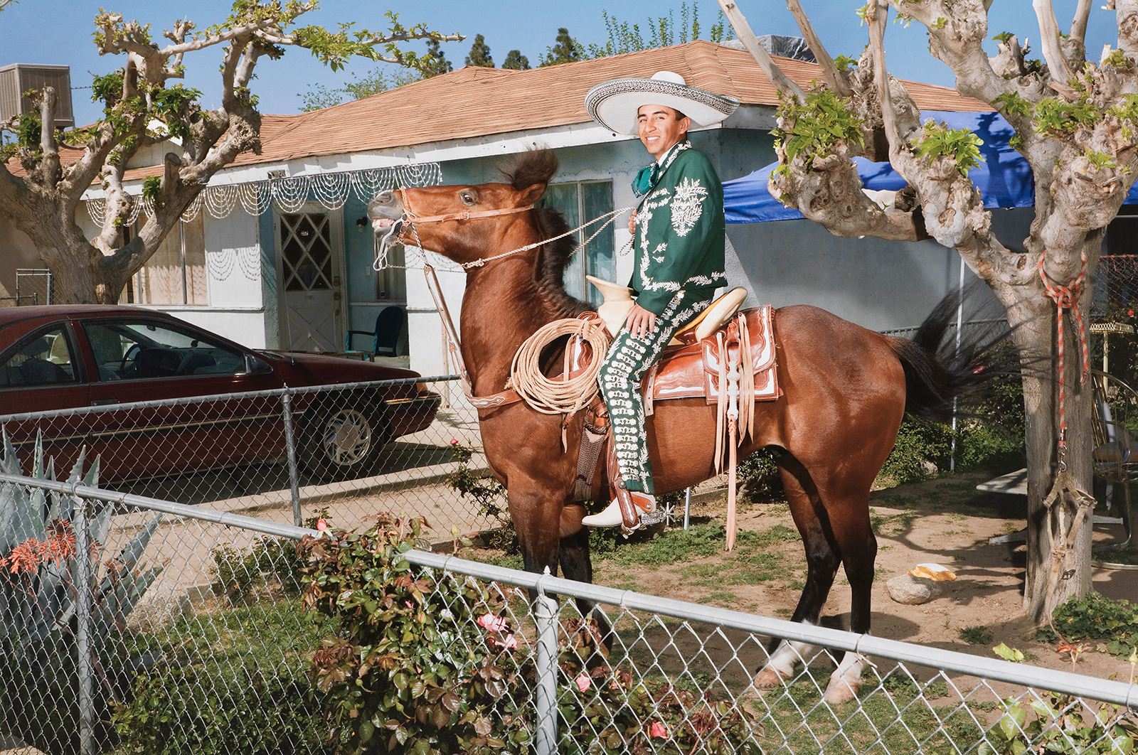 Jose Saldaña on Chapulín in Lost Hills, CA